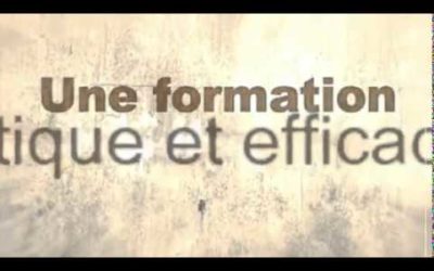 Formation au trading sur devises