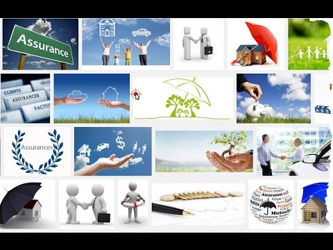 Lettre type – Aucune assurance ne veut m’assurer