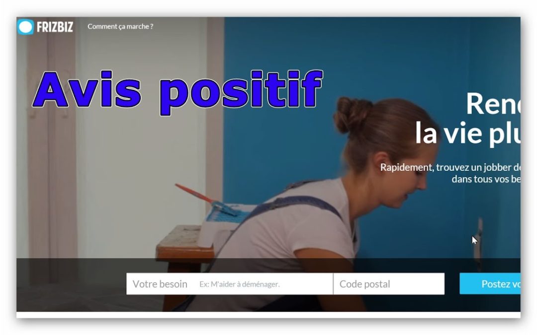 FrizBiz plateforme de jobbing