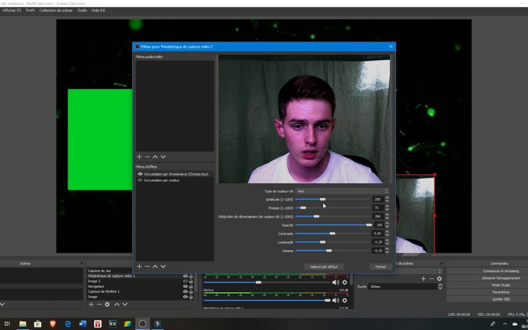 Tuto | Comment utiliser le fond vert dans un live avec OBS ?