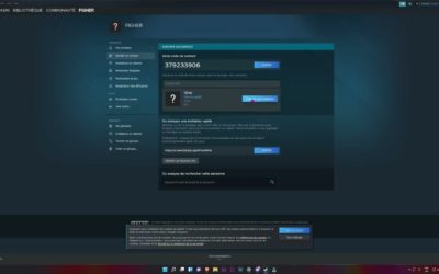 Steam | Comment ajouter un ami GRATUITEMENT ?