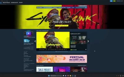 Comment télécharger des jeux Free-to-Play ? – Steam