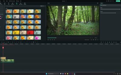 Filmora 12 | Comment mettre des effets facilement ?