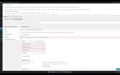 Comment Ajouter les catégories de produits Woocommerce aux menus ? – WordPress