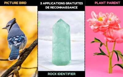 Application gratuite pour trouver le nom d’une pierre, plante et des oiseaux.