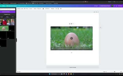 Comment importer une vidéo sur Canva ?