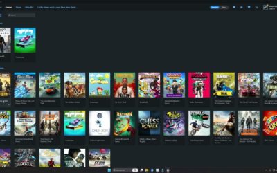 Comment télécharger la beta de Skull and Bones ? – PC